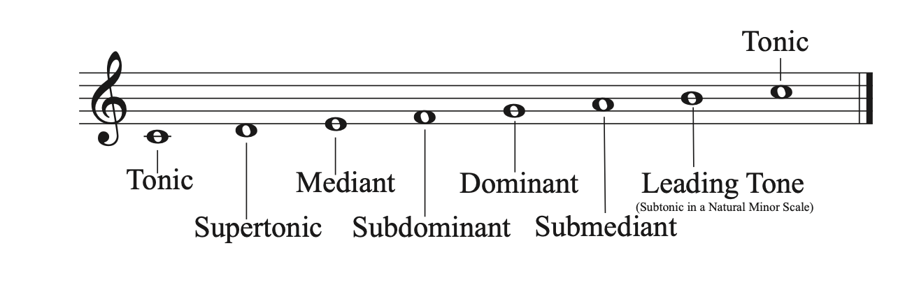 Major scale degree names